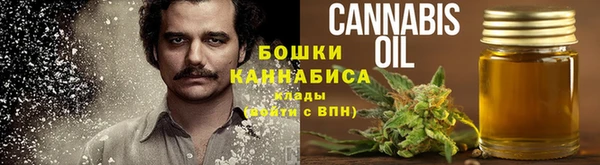 прущие грибы Волгодонск