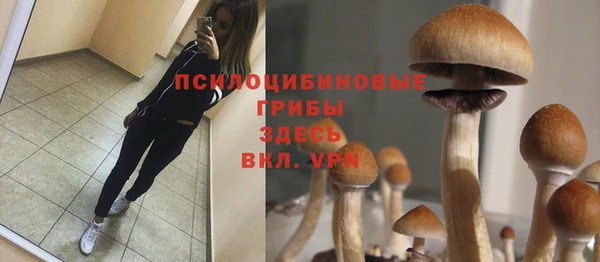 прущий лед Волосово