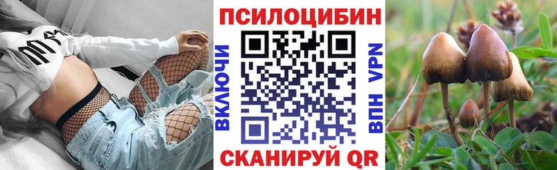 Галлюциногенные грибы Psilocybine cubensis  darknet формула  Ишим 